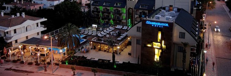 其他 Ambassador Plaza