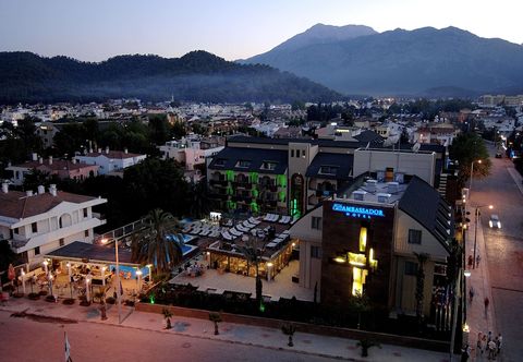 其他 Ambassador Plaza