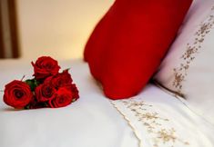 อื่นๆ 7 Novotel Porto Alegre Airport