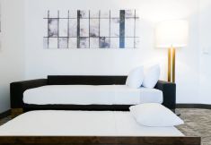 其他 3 SpringHill Suites Dallas Richardson/Plano