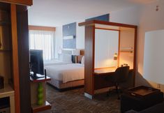 其他 4 SpringHill Suites Dallas Richardson/Plano