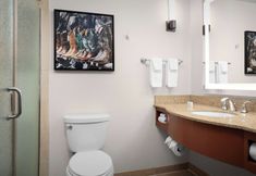 その他 5 Hilton Garden Inn Fort Worth Medical Center