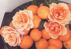 기타 4 Riad Cocoon