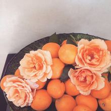 기타 4 Riad Cocoon