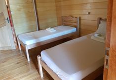 その他 7 Amazon Arowana Lodge