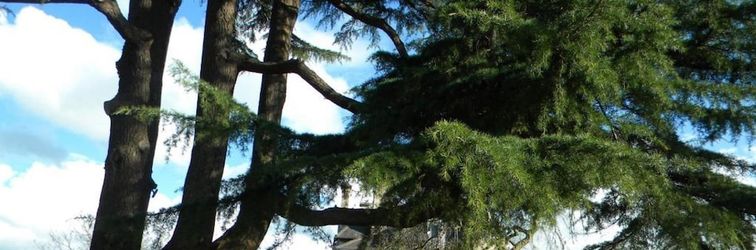 其他 The House near Bath