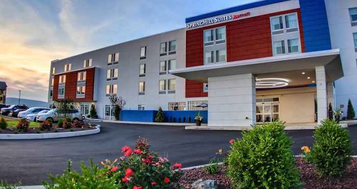 Lainnya SpringHill Suites by Marriott Scranton Montage Mountain