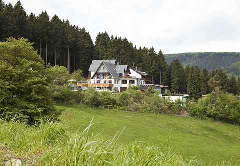 Others Wald Hotel Willingen