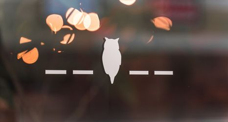 Lain-lain 2 Wise Owl Hostels Kyoto