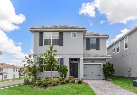 其他 Amazing High End Champions Gate 6 BD