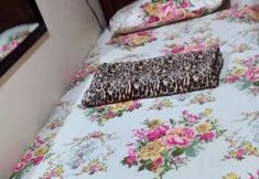 Others 3 Kassel Dorz Hostel