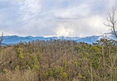 其他 6 Dancing Bear Lodge