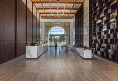 기타 3 Aliathon Ionian