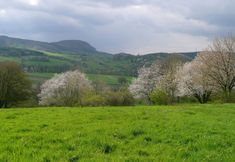 其他 4 Holiday Home in Waltershausen