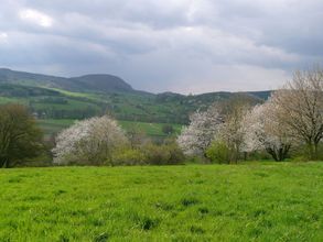 其他 4 Holiday Home in Waltershausen
