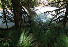 อื่นๆ 2 Mt Baker Lodging's Cabin #1 - With Wifi, Hot Tub, Pet Friendly