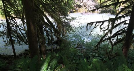 อื่นๆ 2 Mt Baker Lodging's Cabin #1 - With Wifi, Hot Tub, Pet Friendly