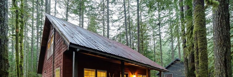 Others Glacier Springs Cabin 12 - Pet Friendly, Wifi, AC, Sleeps 4