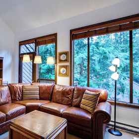 Primary image 1 スノーウーター コンド ストーリー コンド ウィズ WiFi- スリープス 4 - ビューティフリー デコレーテッド, ワットコム郡 ホテル