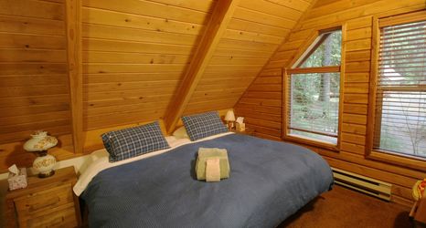其他 2 Snowline Cabin 35 - A Pet-friendly Country Cabin, Now has air Conditioning!