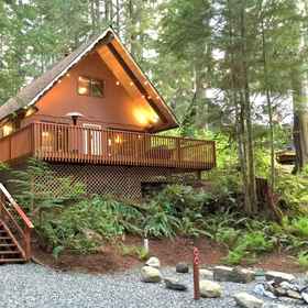 Primary image1Mt Baker Snowline 小屋 98 寵物友好小屋 - 有木爐、熱水浴缸和 Wifi,霍特科姆县飯店