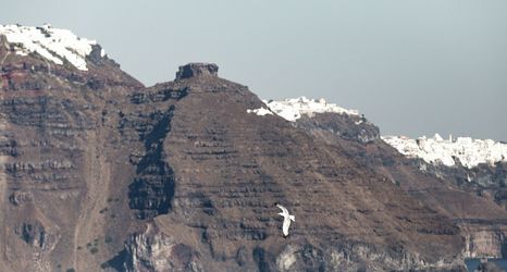 Lainnya 2 Armenaki - Adults Only