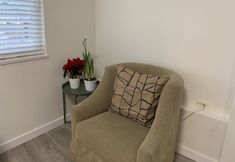 Others 4 Old plum tree Style Suite