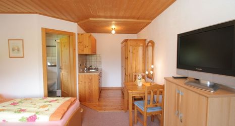 Others 2 Sauna Apartment in Schladming