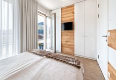 其他 2 Lively Apartment Near the ski Slope