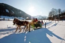 Others Lovely Chalet on the ski Slope