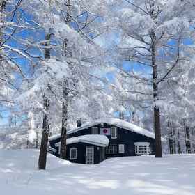 Primary image 1 Japan Snowsports, Madarao Kogen Hotels