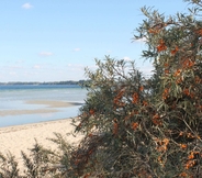 Others 3 Idyllic Apartment in Stellshagen on Baltic Sea Coast