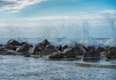 其他 2 A Quiet Cottage in a Seaside Village. Living Room, two Bedrooms, a Large Garden