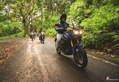 Others 7 Funchal Village Studios