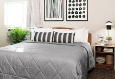 其他 5 InTown Suites Extended Stay Arlington TX - Six Flags