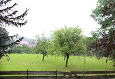 Others 7 Natur-blockhaus in Waltershausen