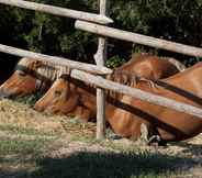 Others 5 Cozy Farmhouse in Paciano With Swimming Pool