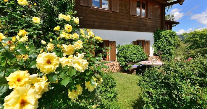 Others Cozy Apartment in Bayerisch Eisenstein With Garden