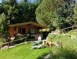 Others 2 Detached log Cabin in Bavaria With Covered Terrace