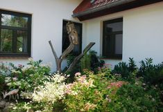 Others 3 Wohnung in Dargun mit Garten