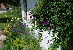 Others 5 Wohnung in Dargun mit Garten