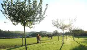 Others 5 Farmhouse With Wellness Near Maredsous