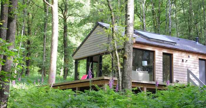 Lainnya Modern Chalet Located in the Woods