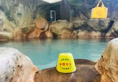 Others 4 Hotel Shirahama