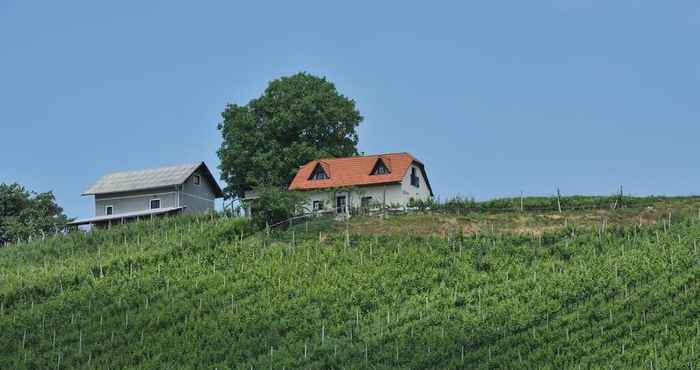 Others Vineyard cottage Zdolšek