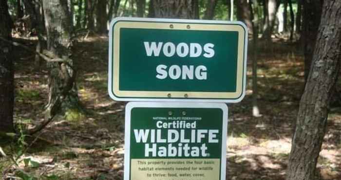 อื่นๆ Woods Song - Natures Promise