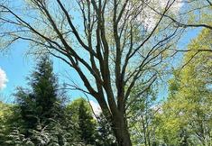 Lain-lain 7 4358 W. Lake Road 3 Bedroom Home by RedAwning