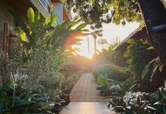 その他 3 Vila Sal Noronha