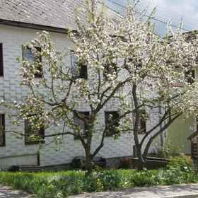 Primary image 1 Biobauernhof Gollner, Nebelberg Hotels