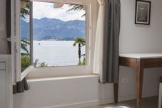 อื่นๆ Balbianino